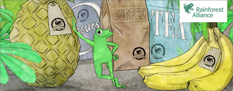 Follow the frog - Rainforest Alliance